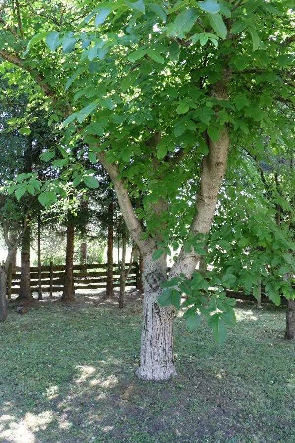 Holiday Home "Iris" Near Plitvice Lakes Rudanovac Экстерьер фото